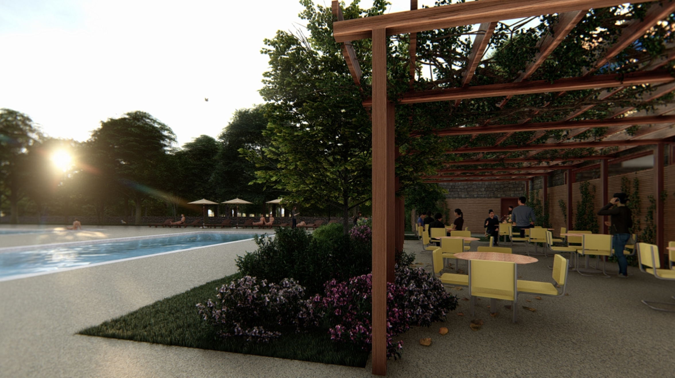 Swimming pool and sitting area under trellis